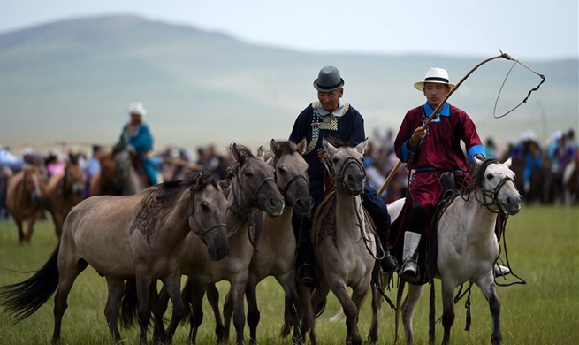 Equine culture event opens in north China's Inner Mongolia