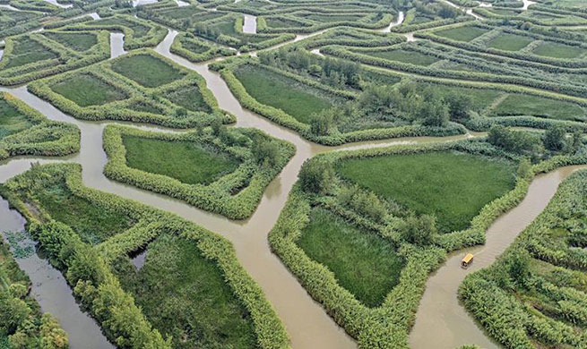 Scenery of Hongze Lake in east China's Jiangsu