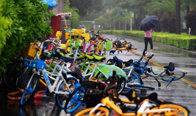 Typhoon Bailu makes landfall in Dongshan County, China's Fujian
