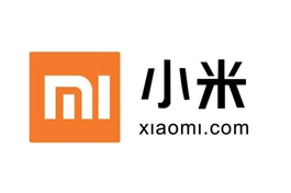 Tech giant Xiaomi reports 20 pct revenue growth in H1