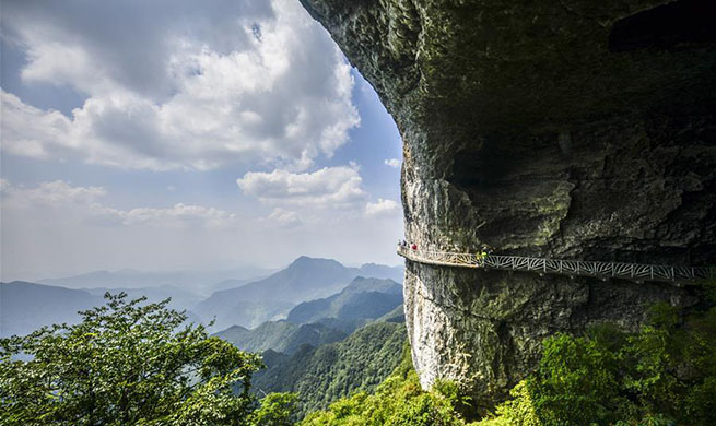 In pics: tourism in Jinfo Mountain in China's Chongqing