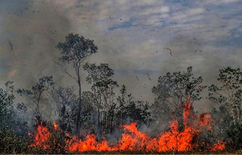 No outdoor fires in 60 days! Brazil tries to defuse Amazon crisis