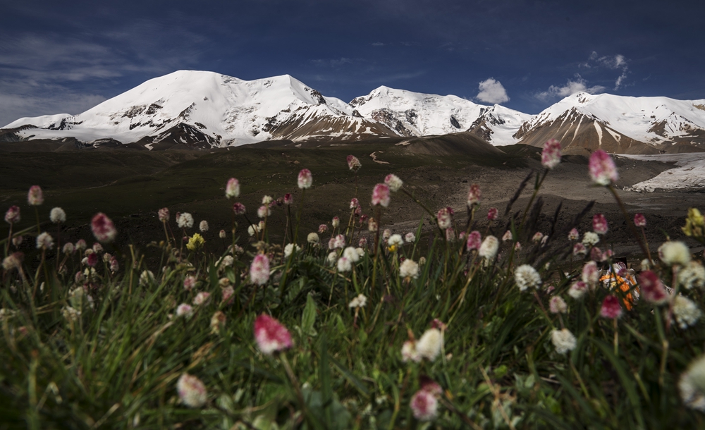 Eco-China: Qinghai takes on new look on ecological environment