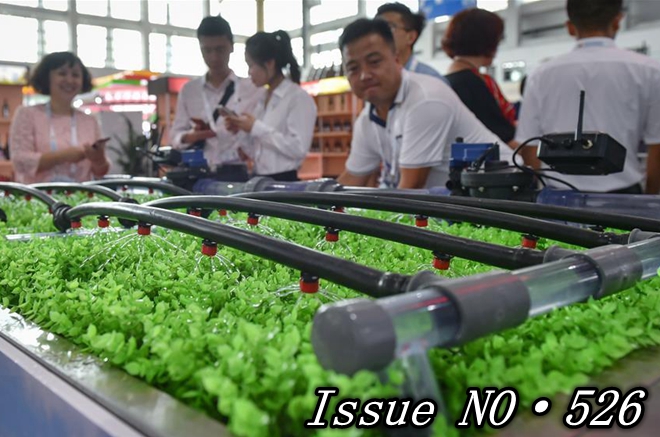 Foreign firms optimistic about Chinese market