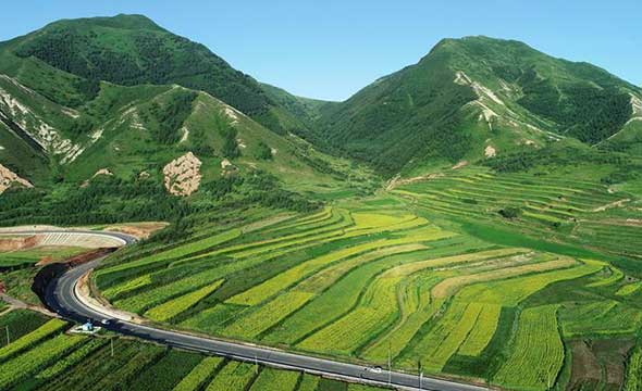 Eco China: Ningxia, first in China to make headway in reversing desertification