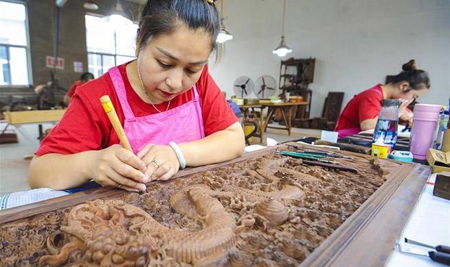 Cultural industry development promoted in Dacheng County, China's Hebei
