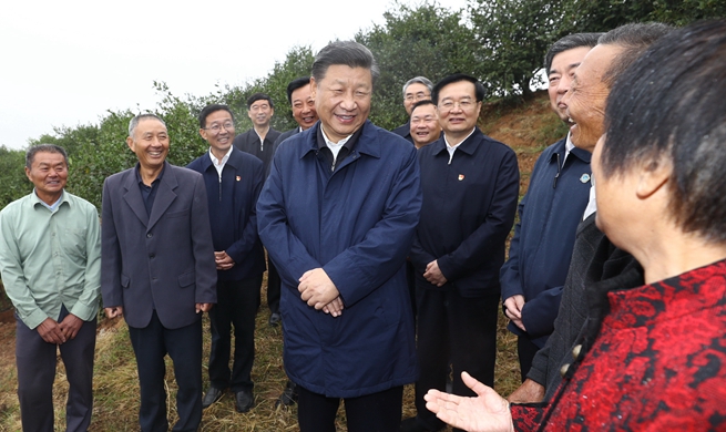 Xi inspects poverty alleviation work in central China