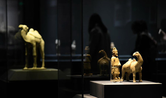 Exhibition on ancient path kicks off at Shaanxi History Museum in NW China