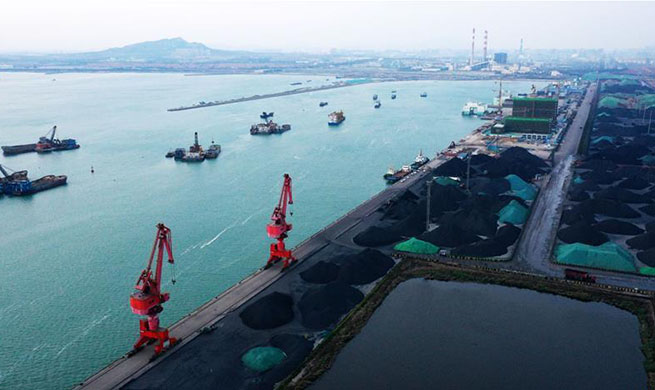 China's Rizhao Port relocates operation area for coal, other bulk cargoes