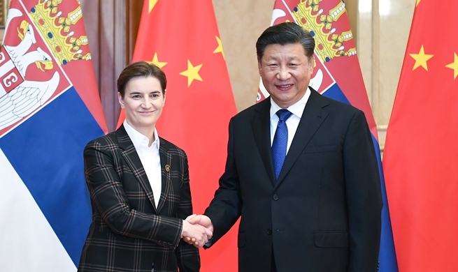 Xi meets Serbian PM