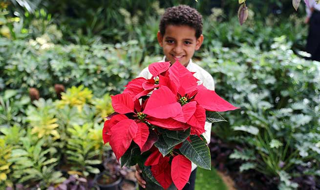 Feature: Egypt's autumn horticulture expo charmingly returns after 30 years of absence