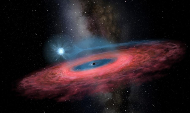 China Focus: Chinese astronomers discover unexpected huge stellar black hole
