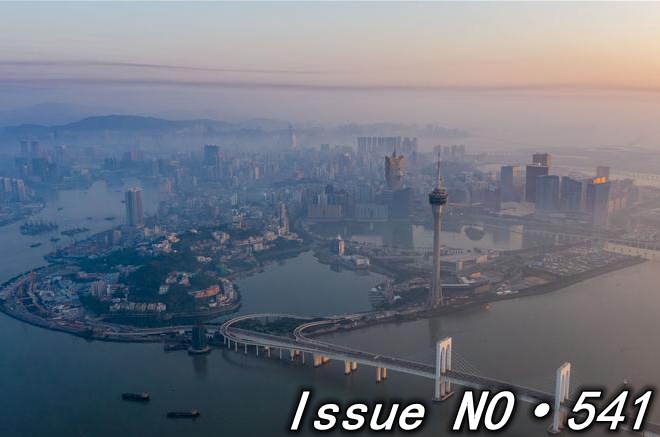 Institutional ingredients for China's resilience