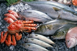 China's marine economy sees steady growth