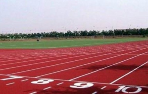 Chinese athletics reviews successful 2019