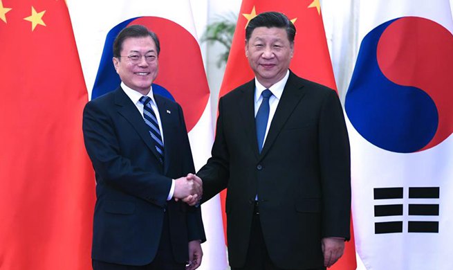 Xi meets ROK president, calls for advancing bilateral ties