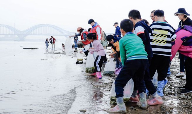 Xinhua Headlines: China races to rescue rare Yangtze finless porpoise