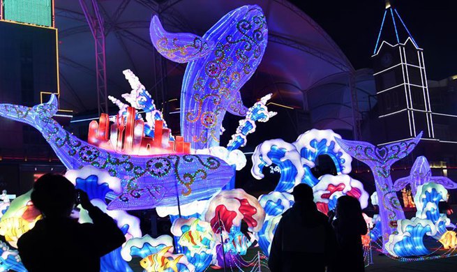 Light installation art festival held in E China's Shandong
