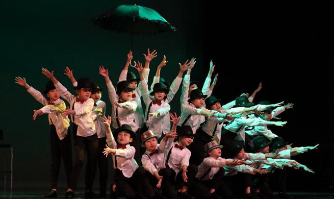 Annual Spring Festival gala staged in U.S. Houston