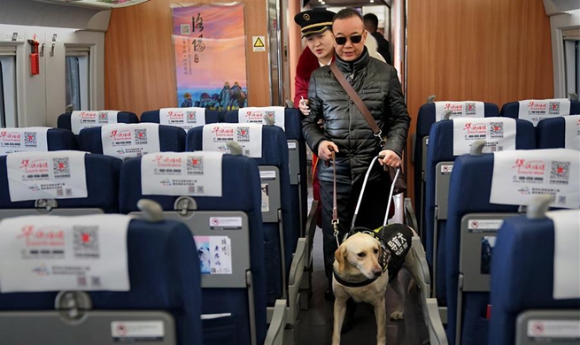 In pics: visually impaired passenger and his guide dog