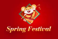 Spring Festival 2020