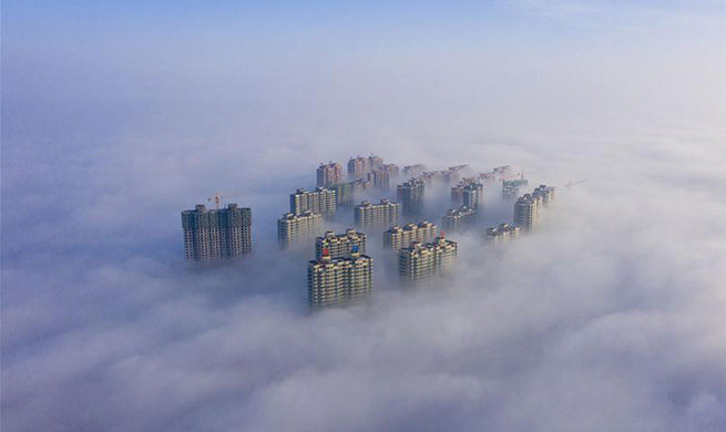 Scenery of advection fog in Yuncheng, N China