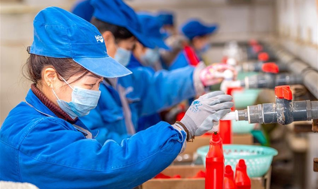 Workers in factories in Shanxi work overtime to meet increasing need