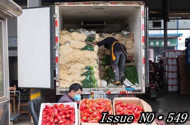 China's macro-policy ammo sufficient to counter coronavirus hit