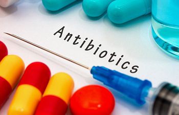 Israeli researchers develop innovative method to identify new antibiotics