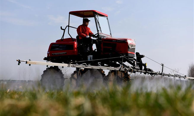 Farmers across China resume production