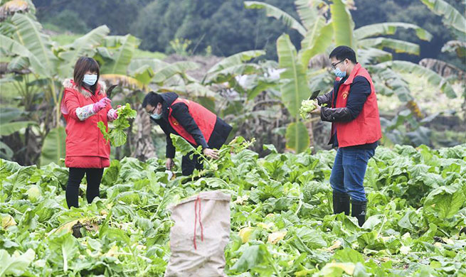 Volunteers help locals in need amid novel coronavirus fight