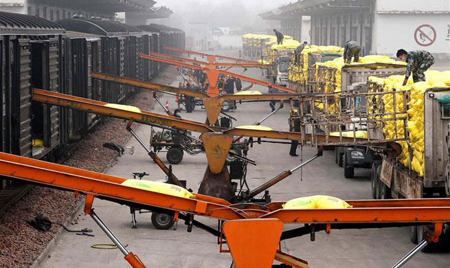 "Green passage" launched in Henan to ensure safe, stable transportation of spring ploughing materials