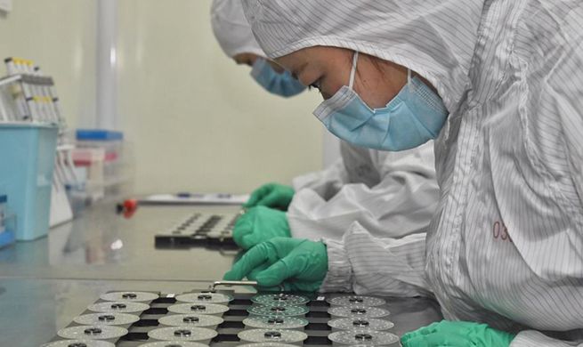 China Focus: Test chip for multiple respiratory viruses approved