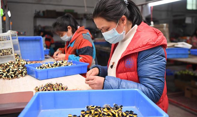 Poverty alleviation workshops resume production in Hunan