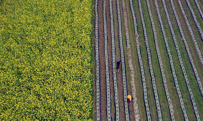 Farmers across China busy carrying out agricultural production as weather warms up