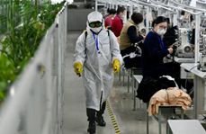 Chinese businesses optimistic despite COVID-19 outbreak: survey