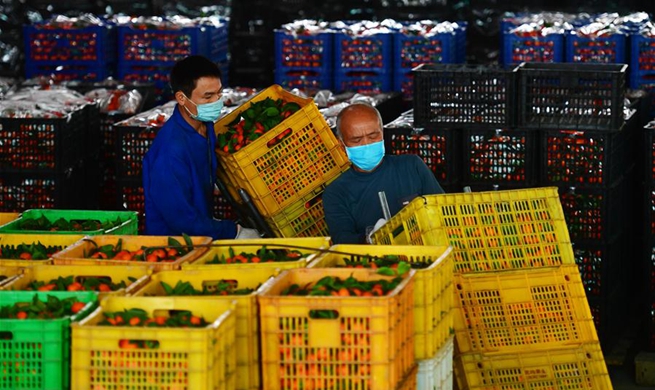 Enterprises step up efforts to resume production amid prevention measures