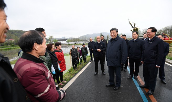 Xi inspects east China county