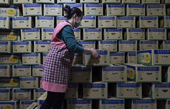 Price, supply stable at agricultural products trade market in Xiangyang