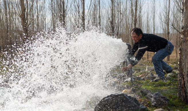 Reclaimed water widely used to improve ecological environment in Xinjiang