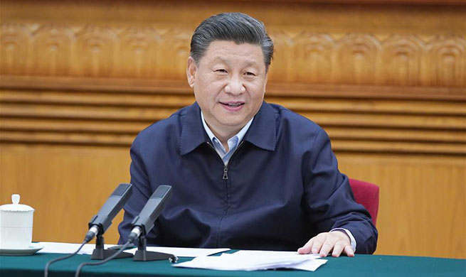 Xi stresses strong public health system to safeguard people's health