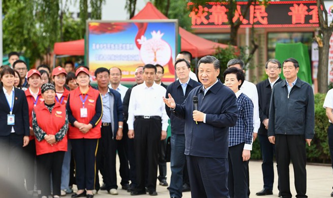Xi inspects northwest China's Ningxia