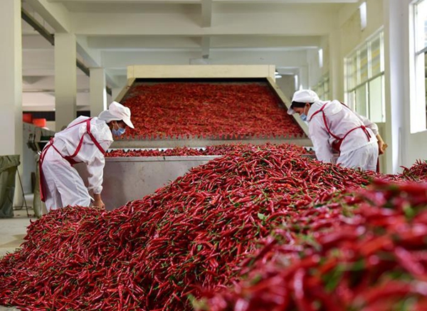 China's inflation rises in July, propelled by food prices