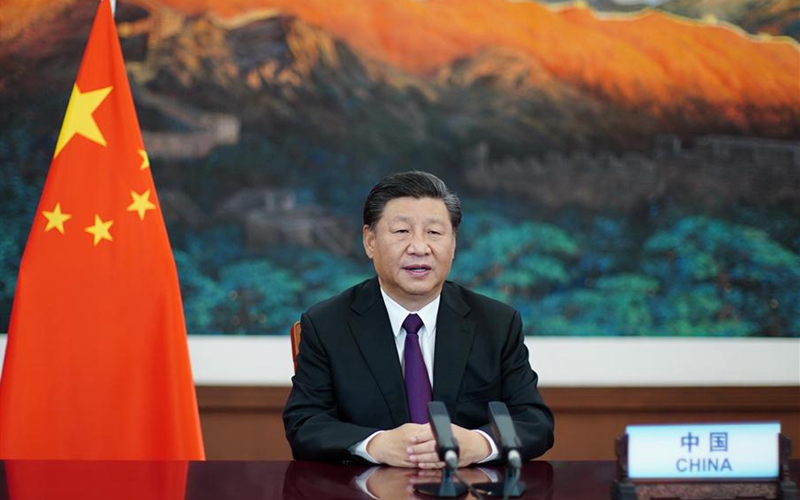 Xi Focus: Xi calls for enhancing biodiversity conservation, global environmental governance