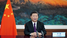 Xi Focus: Xi calls for effectively reversing biodiversity loss