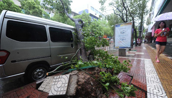 Typhoon Haikui landed in Zhejiang early Wednesday