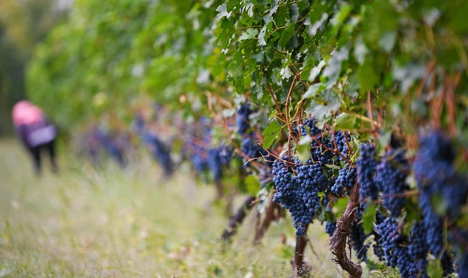 Xinhua Headlines: Changes in most uninhabitable area: understanding China's fight against poverty