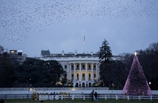 Commentary: U.S. political farce against China will only lead to countermeasures