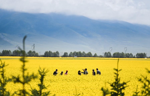 Qinghai sees over 32 million tourist arrivals from Jan. to Nov.