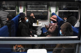 Spring Festival shopping moves online amid epidemic control